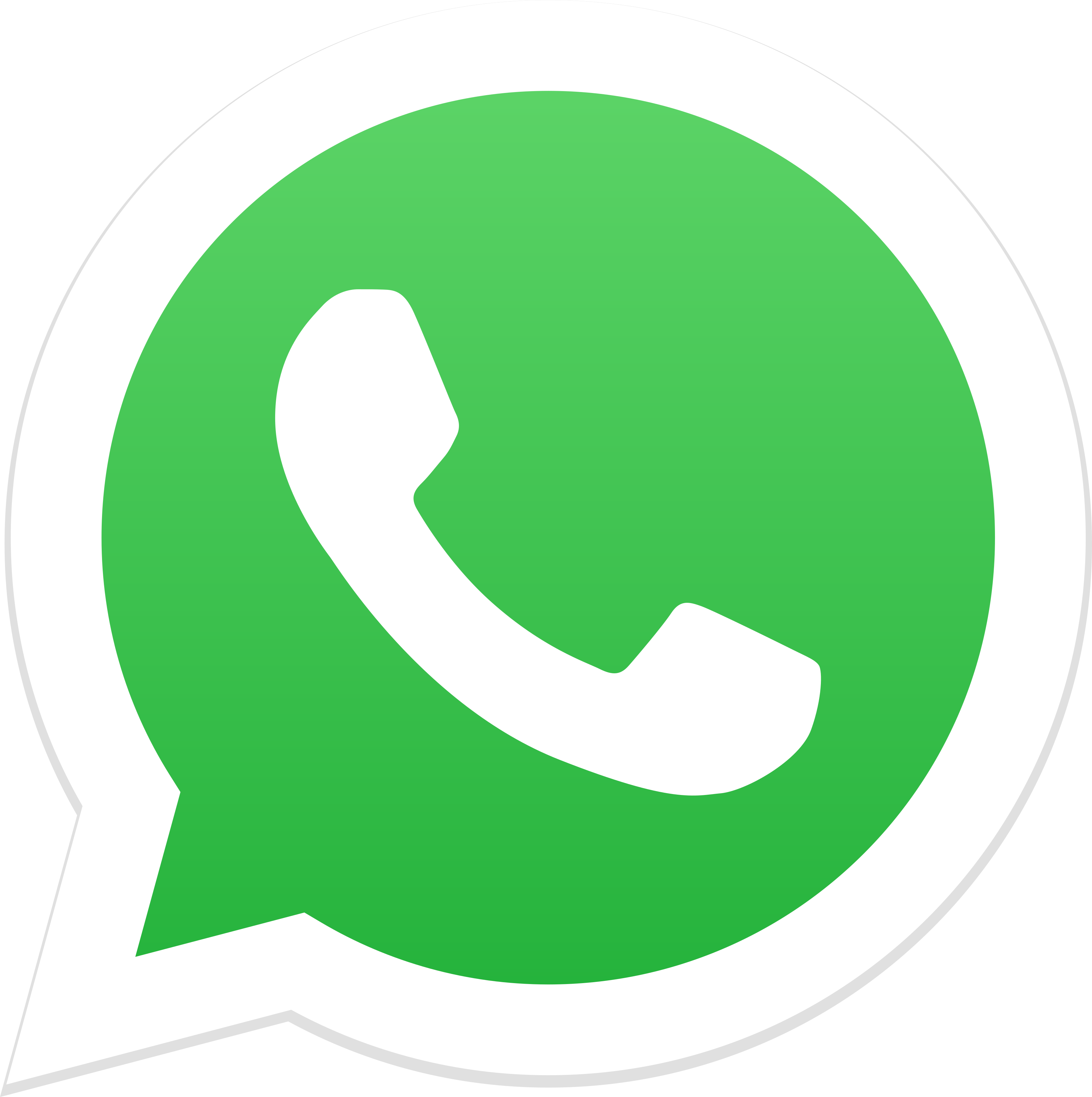 whatsapp forex
